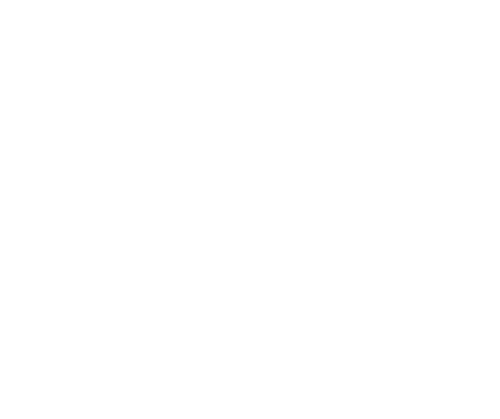 Rev’it